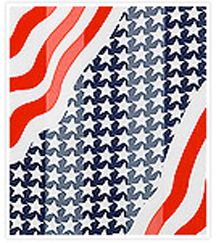 200047FG - 13 X 60<br />Scarf - American flag<br /> Code A