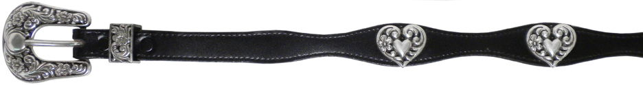 4575016B - Belt - 1 width